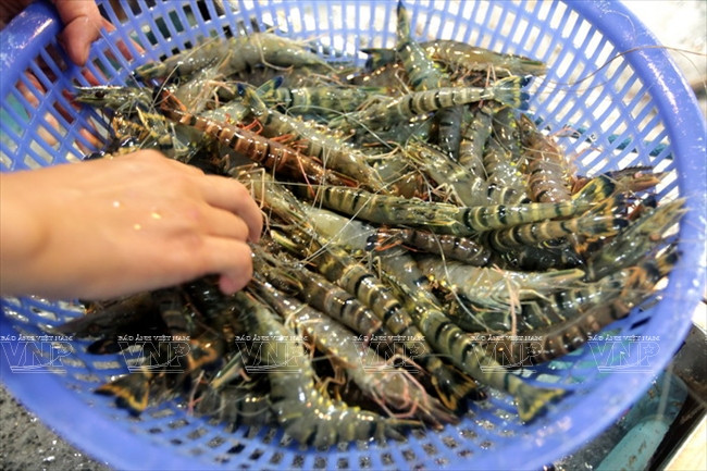 平田农产食品批发市场 ảnh 9 平田农产食品批发市场 ảnh 9