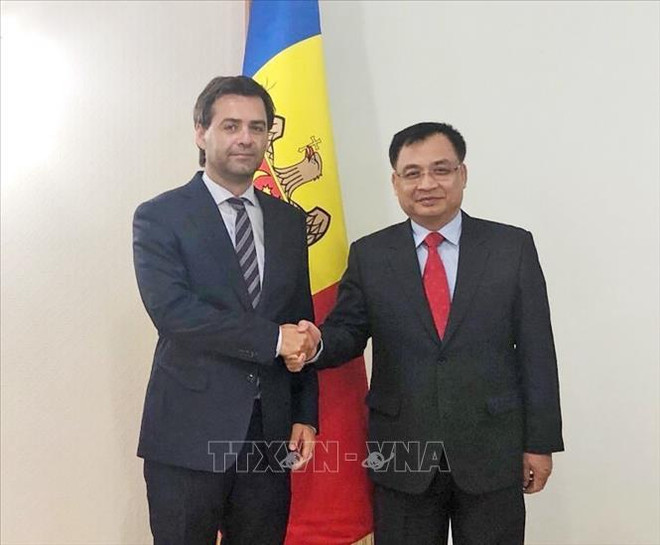 摩尔多瓦一向重视与越南的关系 ảnh 2