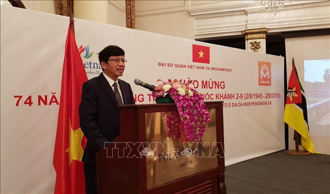 越南驻外国外交机构举行九·二国庆节纪念活动 ảnh 2 越南驻外国外交机构举行九·二国庆节纪念活动 ảnh 2