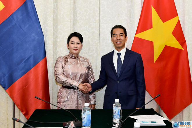 第八次越南-蒙古外交部副部长级政治磋商会议在河内召开 ảnh 1 第八次越南-蒙古外交部副部长级政治磋商会议在河内召开 ảnh 1