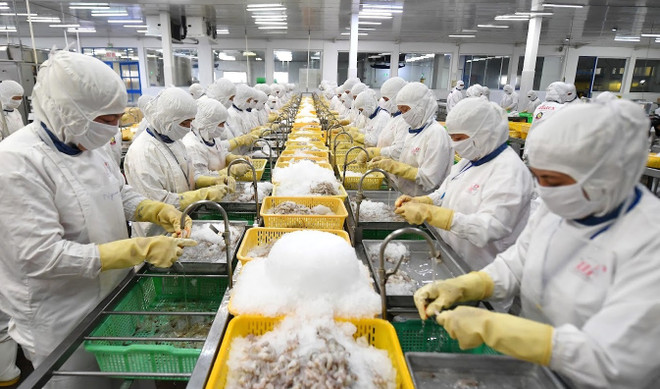 越南:今年六月份复工企业数量大幅增长 ảnh 1 越南:今年六月份复工企业数量大幅增长 ảnh 1