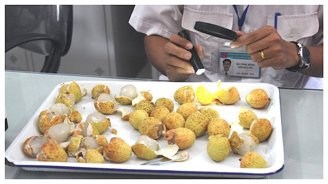 越南水果征服美国市场 ảnh 2 越南水果征服美国市场 ảnh 2