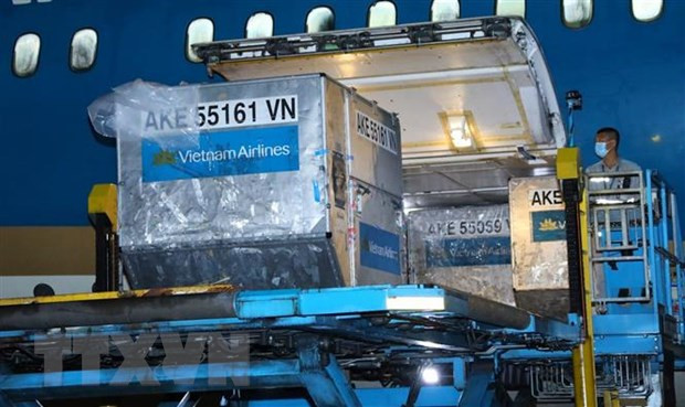 由日本赞助的300台疫苗存储用医用冰箱已运抵越南 ảnh 1 由日本赞助的300台疫苗存储用医用冰箱已运抵越南 ảnh 1