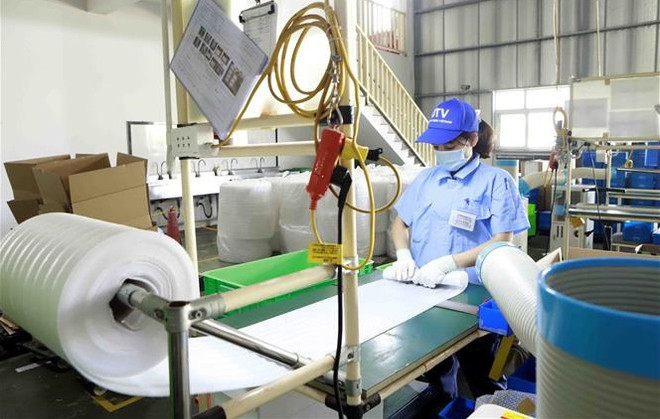 越南在东南亚地区的经济表现名列前茅 ảnh 2 越南在东南亚地区的经济表现名列前茅 ảnh 2