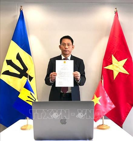 越南和巴巴多斯之间的合作潜力巨大 ảnh 2