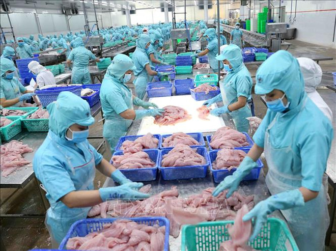 加工工业继续对出口做出巨大贡献 ảnh 1