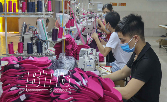 太平省继续主动和创造性地学习和践行胡志明思想、道德和作风 ảnh 1 太平省继续主动和创造性地学习和践行胡志明思想、道德和作风 ảnh 1