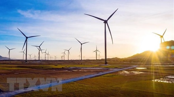 数百万美元流入各项绿色增长项目 ảnh 1 数百万美元流入各项绿色增长项目 ảnh 1