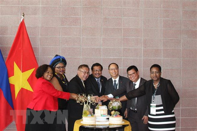 掀开越南与南非外交关系的新一页 ảnh 1