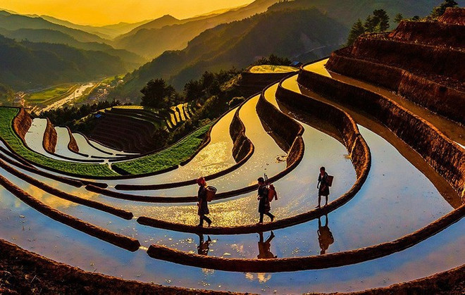 2018年越南文化遗产空间展即将在河内举行 ảnh 1