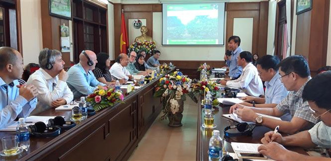 澳大利亚协助得农省发展咖啡和胡椒产业 ảnh 1 澳大利亚协助得农省发展咖啡和胡椒产业 ảnh 1