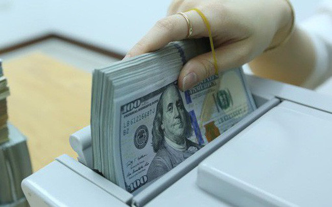 29日越盾兑美元汇率小幅上涨 英镑汇率涨跌互现 ảnh 1