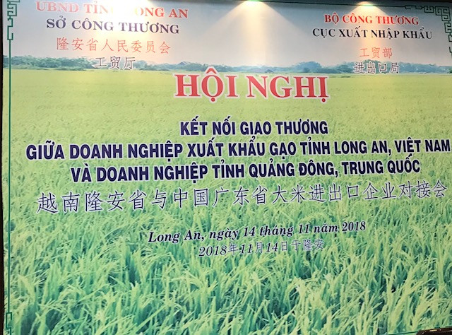 中国广东省大米进口商赴越开展大米交易活动 ảnh 1 中国广东省大米进口商赴越开展大米交易活动 ảnh 1