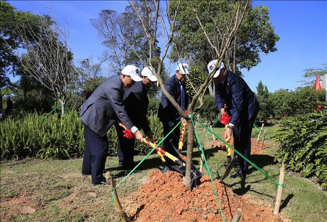 125棵日本樱花树在林同省大叻市植下 ảnh 2