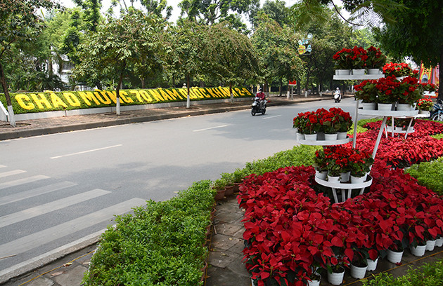 首都河内百花盛开迎国庆 ảnh 2