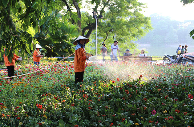 首都河内百花盛开迎国庆 ảnh 7