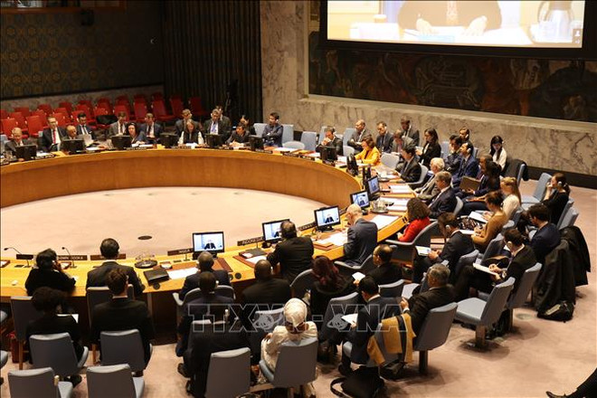 越南同部分机构和组织联合召开关于武装冲突中保护平民讨论会 ảnh 1