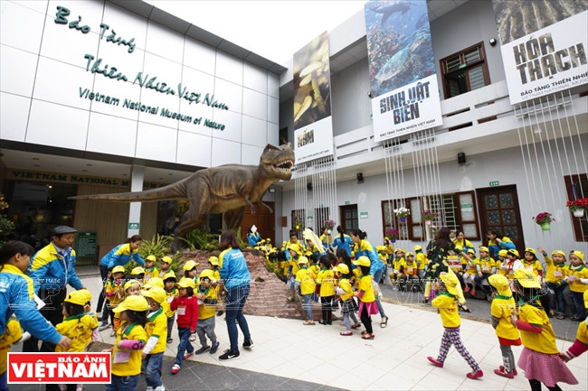 越南第一座自然博物馆 ảnh 1 越南第一座自然博物馆 ảnh 1
