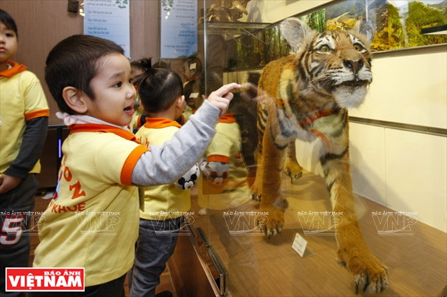 越南第一座自然博物馆 ảnh 2 越南第一座自然博物馆 ảnh 2