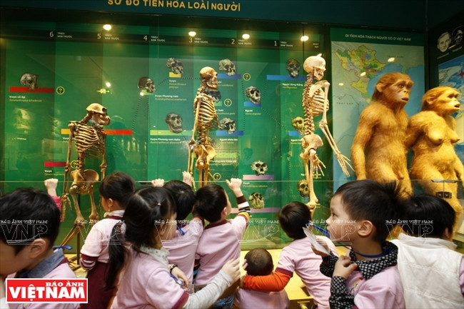 越南第一座自然博物馆 ảnh 3 越南第一座自然博物馆 ảnh 3
