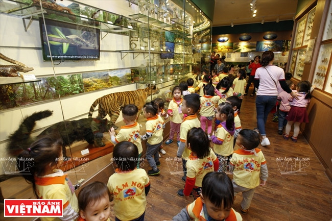 越南第一座自然博物馆 ảnh 4 越南第一座自然博物馆 ảnh 4
