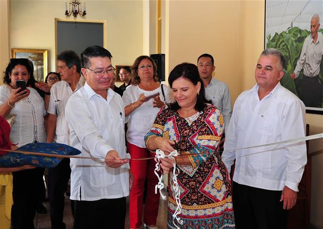 弘扬越南与古巴的特殊友谊价值 ảnh 1