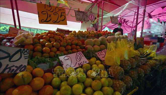 促进越南水果对中国正贸出口的机会 ảnh 1