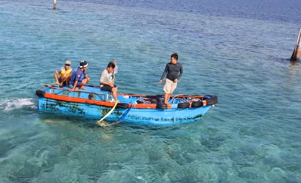 越南农业与农村发展部要求采取有力举措打击IUU捕捞 ảnh 2 越南农业与农村发展部要求采取有力举措打击IUU捕捞 ảnh 2