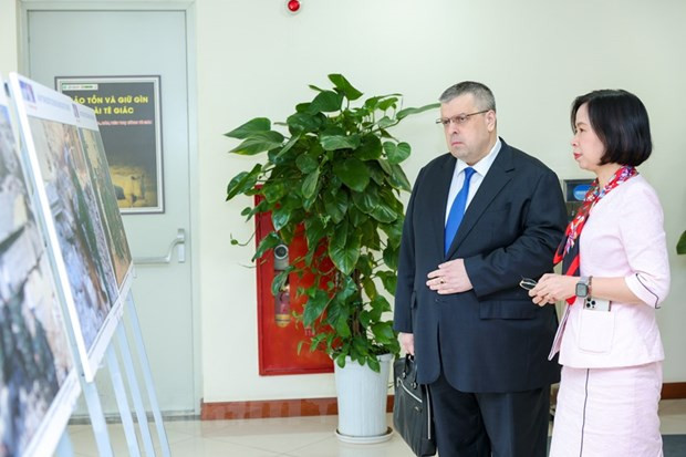 塔斯社驻越南记者杰尼索维奇：在越南工作的幸福感 ảnh 4