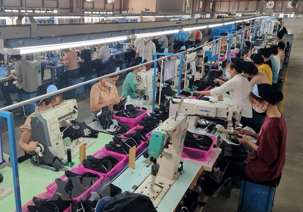  经济外交：帮助越南企业了解印度标准认证签发流程 ảnh 1