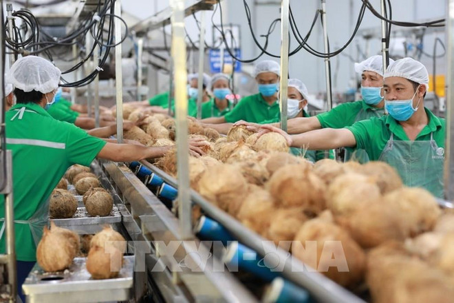 ☕️越通社新闻下午茶(2024.2.22) ảnh 3 ☕️越通社新闻下午茶(2024.2.22) ảnh 3