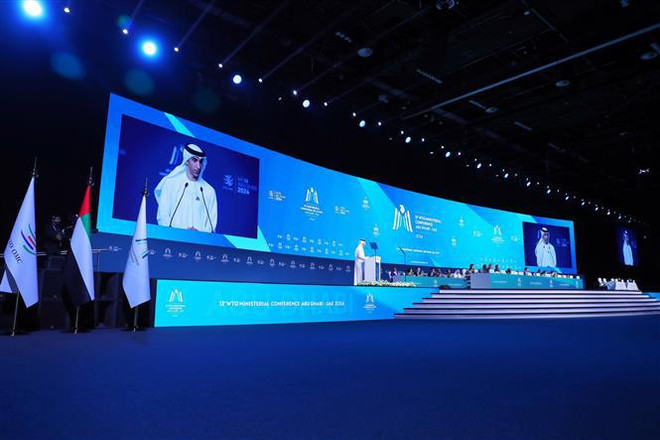 越南工贸部长阮鸿延出席世贸组织第十三届部长级会议并发言 ảnh 1