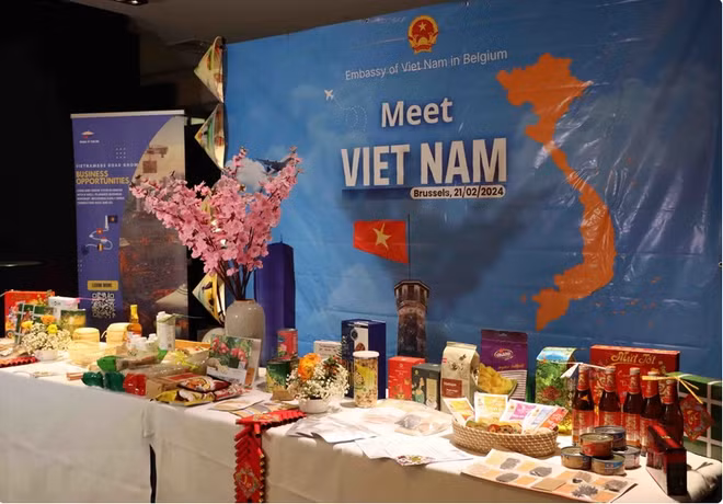 促进越南与比利时合作机遇 ảnh 1 促进越南与比利时合作机遇 ảnh 1