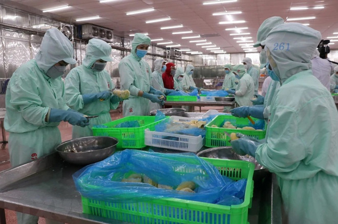 越南是加拿大《印太战略》的优先目的地 ảnh 1 越南是加拿大《印太战略》的优先目的地 ảnh 1