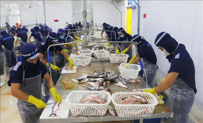 春节假期后胡志明市工人返岗率达97%以上 ảnh 1 春节假期后胡志明市工人返岗率达97%以上 ảnh 1