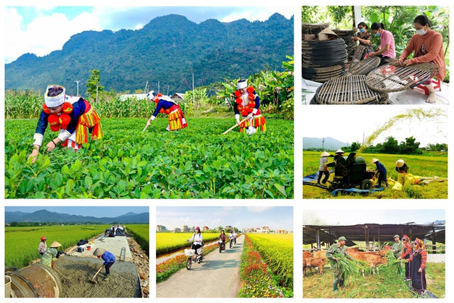 促进落实国会关于实施国家目标计划特殊机制的决议 ảnh 1 促进落实国会关于实施国家目标计划特殊机制的决议 ảnh 1