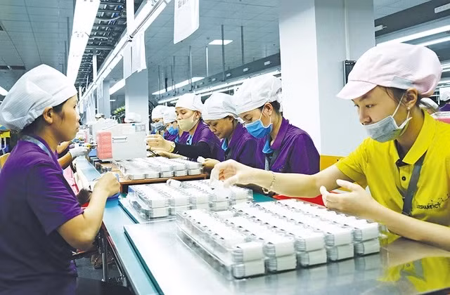 中国高度评价越南招商引资前景 ảnh 1