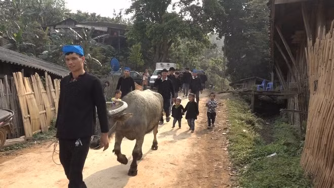 高平省倮倮族同胞的祈雨节 ảnh 1