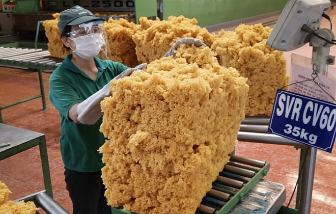 韩国是越南第三大橡胶出口市场 ảnh 1 韩国是越南第三大橡胶出口市场 ảnh 1