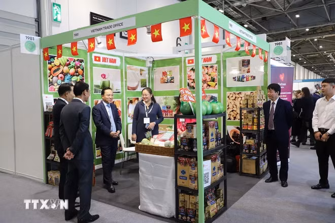 越南参加英国最具规模食品饮料展 ảnh 1