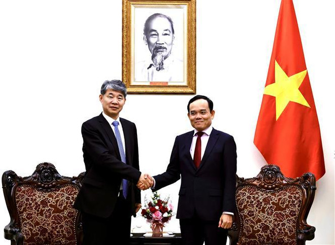 政府副总理陈流光会见国际原子能机构副总干事刘华 ảnh 1 政府副总理陈流光会见国际原子能机构副总干事刘华 ảnh 1