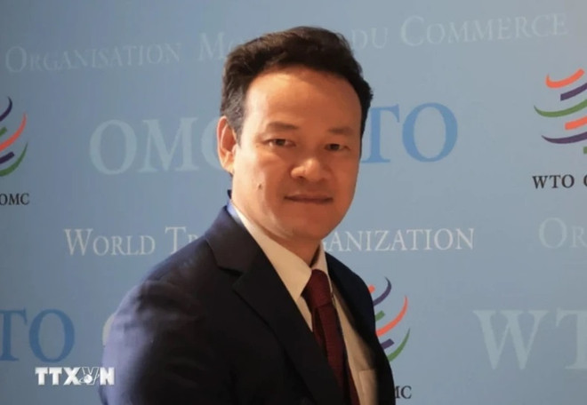越南呼吁各方履行在冲突中保护平民的义务 ảnh 1 越南呼吁各方履行在冲突中保护平民的义务 ảnh 1