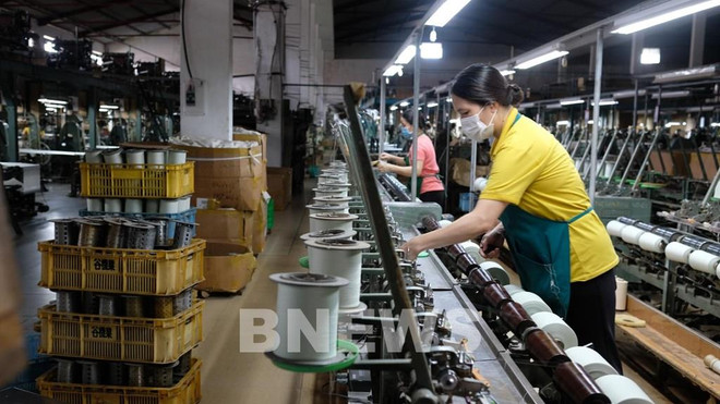 农产品和丝绸继续主导出口市场 ảnh 1 农产品和丝绸继续主导出口市场 ảnh 1