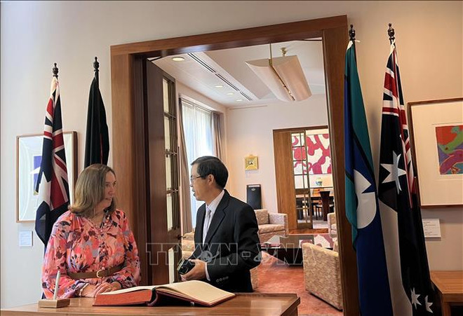 澳大利亚参议院议长苏·莱恩斯相信澳越关系继续全面深入发展 ảnh 1