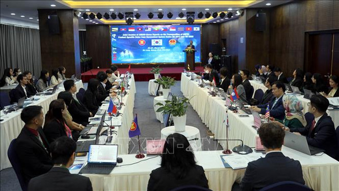 东盟国家加强货物正确原产地保证 ảnh 1 东盟国家加强货物正确原产地保证 ảnh 1
