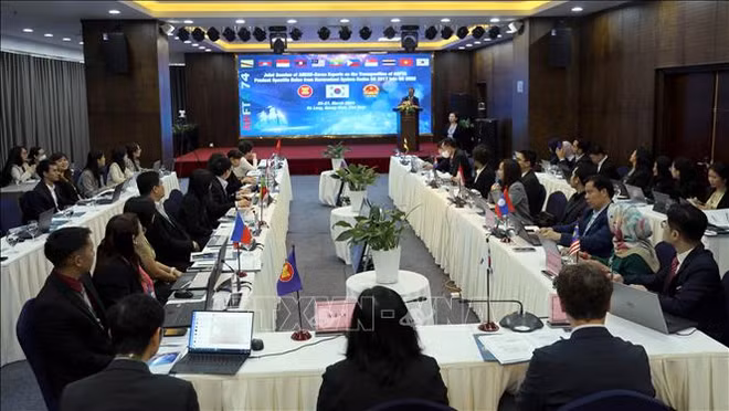 东盟国家加强货物正确原产地保证 ảnh 1