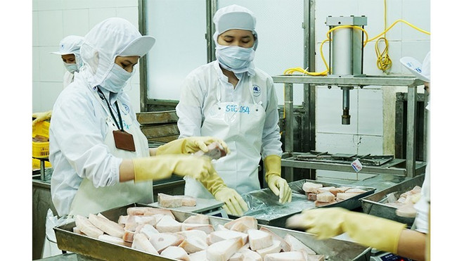 越南谨慎地下调今年的增长目标 ảnh 1 越南谨慎地下调今年的增长目标 ảnh 1