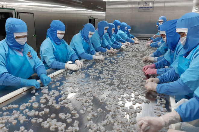 越南出口面临许多困难 ảnh 1 越南出口面临许多困难 ảnh 1