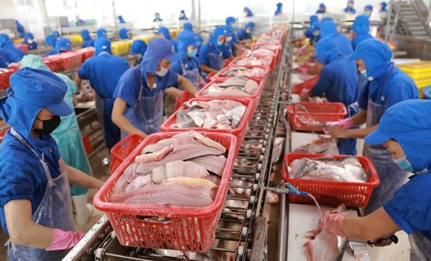 今年一月越南对美洲出口额突破80亿美元 ảnh 2