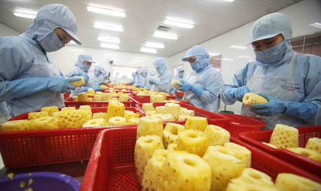 ☕越通社新闻下午茶（2023.2.16） ảnh 3